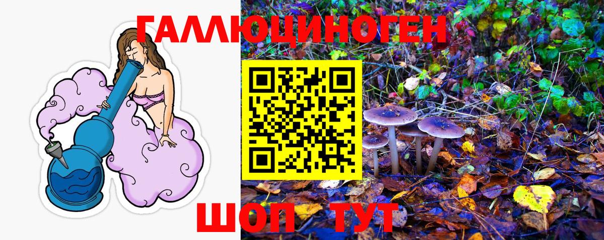 Псилоцибиновые грибы мицелий Курчатов