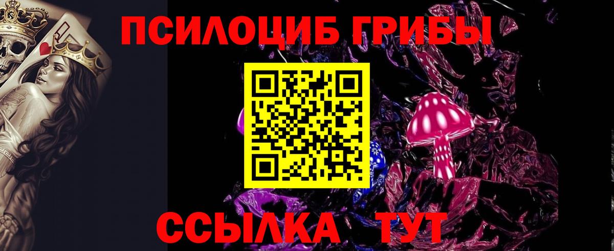 где можно купить   Галлюциногенные грибы прущие грибы  Курчатов  Вход с VPN  Галлюциногенные грибы мухоморы 